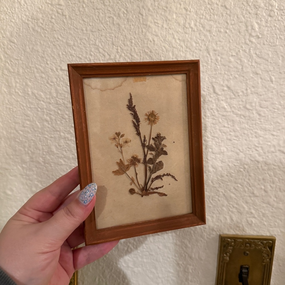 Vintage Framed Pressed Florals